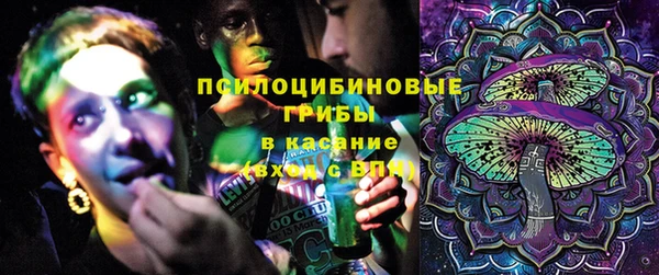 гидропоника Богданович