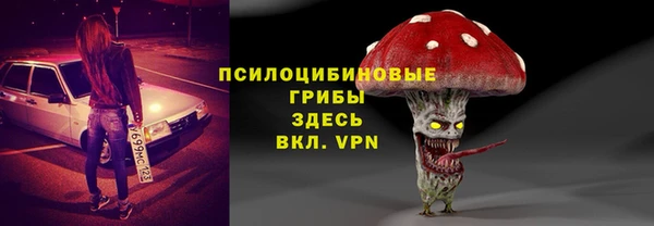 крисы Сосновоборск