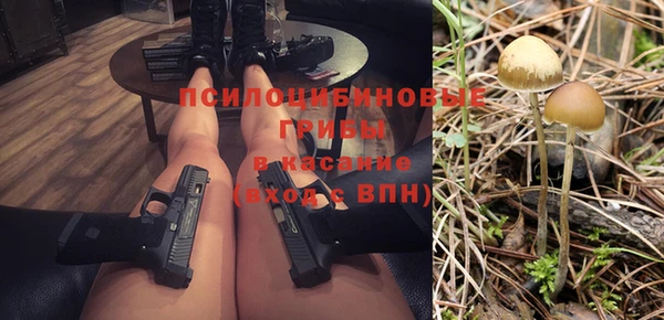 прущий лед Богородицк
