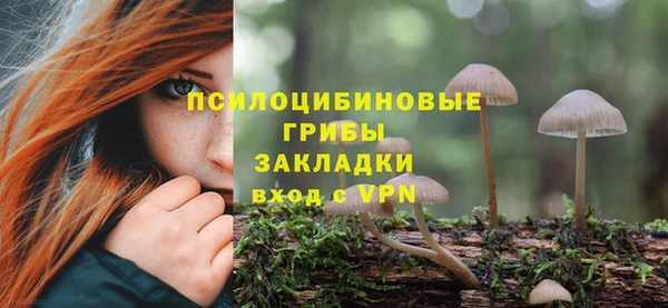 гидропоника Богданович