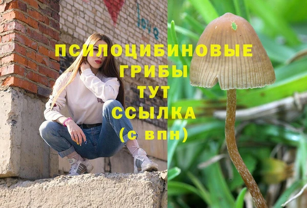 гидропоника Богданович