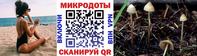 Галлюциногенные грибы прущие грибы  где можно купить   Котельнич 